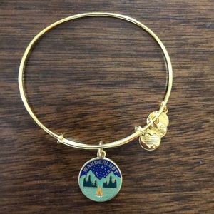 Alex and Ani wanderlust bracelet